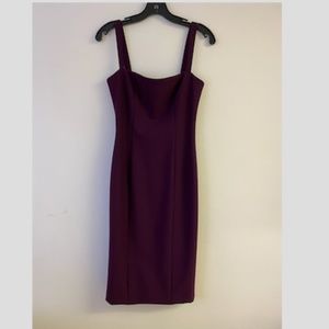 Cinq a Sept Fitted Plum Dress